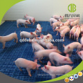 Hot Sale Hot Galvanzied Pipe Livestock Equipment Pig Weaner Pening